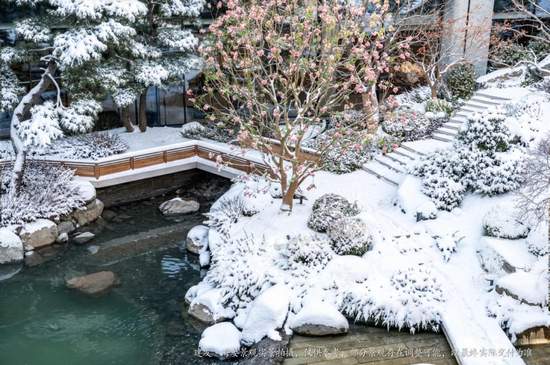 何谓“灯塔级”藏品？建发·海晏以实景作答(图9)