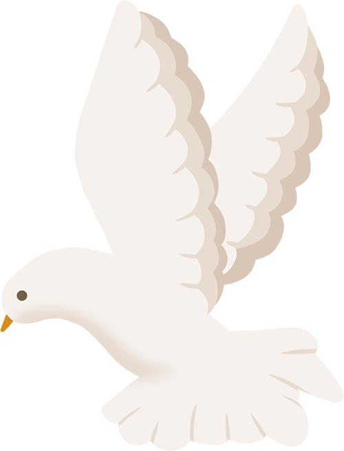 小萌系列新产品——蜘蛛机器人