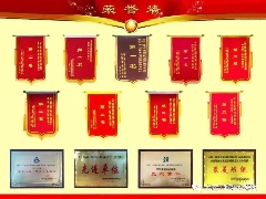 大成集团广吉项目获“国家优质工程奖”(图4)