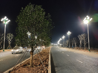 攻难点出亮点，奋力完成目标--- 武夷大布村项目顺利完成年度目标任务