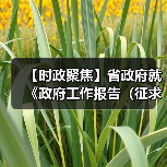 【时政聚焦】省政府就《政府工作报告（征求意见稿）》和“十五五（图3）