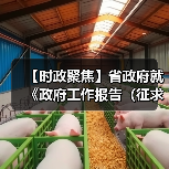 【时政聚焦】省政府就《政府工作报告（征求意见稿）》和“十五五（图2）