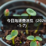 今日海运费速览(2026-1-7)(图3) 今日海运费速览(2026-1-7)(图3)