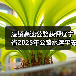 凌绥高速公路获评辽宁省2025年公路水运平安百年品质工程典型(图3) 凌绥高速公路获评辽宁省2025年公路水运平安百年品质工程典型(图3)