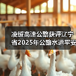 凌绥高速公路获评辽宁省2025年公路水运平安百年品质工程典型(图1) 凌绥高速公路获评辽宁省2025年公路水运平安百年品质工程典型(图1)