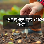 今日海运费速览(2026-1-7)(图2) 今日海运费速览(2026-1-7)(图2)