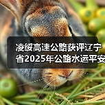 凌绥高速公路获评辽宁省2025年公路水运平安百年品质工程典型(图4) 凌绥高速公路获评辽宁省2025年公路水运平安百年品质工程典型(图4)