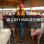 徐工XE1350E实力破局！（图2）