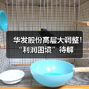 华发股份高层大调整!“利润困境”待解(图4) 华发股份高层大调整!“利润困境”待解(图4)