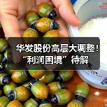华发股份高层大调整!“利润困境”待解(图1) 华发股份高层大调整!“利润困境”待解(图1)