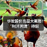 华发股份高层大调整!“利润困境”待解(图3) 华发股份高层大调整!“利润困境”待解(图3)