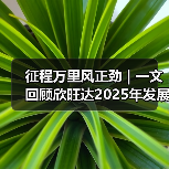 征程万里风正劲 | 一文回顾欣旺达2025年发展大事记（图4）