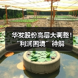 华发股份高层大调整!“利润困境”待解(图2) 华发股份高层大调整!“利润困境”待解(图2)
