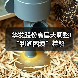华发股份高层大调整!“利润困境”待解(图3) 华发股份高层大调整!“利润困境”待解(图3)