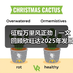 征程万里风正劲 | 一文回顾欣旺达2025年发展大事记（图4）