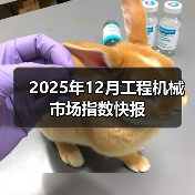 2025年12月工程机械市场指数快报(图4) 2025年12月工程机械市场指数快报(图4)