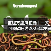 征程万里风正劲 | 一文回顾欣旺达2025年发展大事记（图1）