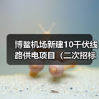 博鳌机场新建10千伏线路供电项目(二次招标)招标公告(图3) 博鳌机场新建10千伏线路供电项目(二次招标)招标公告(图3)