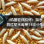 (机器管招投标)陵水县红星水库等18宗小型水库安全加固工程招标公告(图2) (机器管招投标)陵水县红星水库等18宗小型水库安全加固工程招标公告(图2)