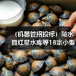 (机器管招投标)陵水县红星水库等18宗小型水库安全加固工程招标公告(图3) (机器管招投标)陵水县红星水库等18宗小型水库安全加固工程招标公告(图3)