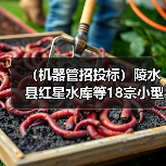 (机器管招投标)陵水县红星水库等18宗小型水库安全加固工程招标公告(图4) (机器管招投标)陵水县红星水库等18宗小型水库安全加固工程招标公告(图4)