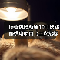 博鳌机场新建10千伏线路供电项目(二次招标)招标公告(图1) 博鳌机场新建10千伏线路供电项目(二次招标)招标公告(图1)