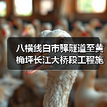 八横线白市驿隧道至黄桷坪长江大桥段工程施工一标段 项目编号:50000120251028001050101(图4) 八横线白市驿隧道至黄桷坪长江大桥段工程施工一标段 项目编号:50000120251028001050101(图4)
