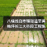 八横线白市驿隧道至黄桷坪长江大桥段工程施工一标段 项目编号:50000120251028001050101(图1) 八横线白市驿隧道至黄桷坪长江大桥段工程施工一标段 项目编号:50000120251028001050101(图1)