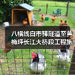 八横线白市驿隧道至黄桷坪长江大桥段工程施工二标段 项目编号:50000120251028001050102(图4) 八横线白市驿隧道至黄桷坪长江大桥段工程施工二标段 项目编号:50000120251028001050102(图4)