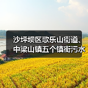 沙坪坝区歌乐山街道、中梁山镇五个镇街污水管网更新改造项目(一期)一标段(图3) 沙坪坝区歌乐山街道、中梁山镇五个镇街污水管网更新改造项目(一期)一标段(图3)