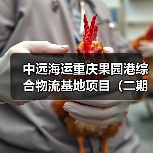 中远海运重庆果园港综合物流基地项目(二期)工程项目(图2) 中远海运重庆果园港综合物流基地项目(二期)工程项目(图2)