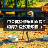 中央储备粮眉山直属库粮库升级改造项目(二次)(图3) 中央储备粮眉山直属库粮库升级改造项目(二次)(图3)