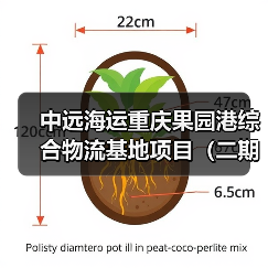 中远海运重庆果园港综合物流基地项目(二期)工程项目(图1) 中远海运重庆果园港综合物流基地项目(二期)工程项目(图1)