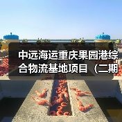 中远海运重庆果园港综合物流基地项目(二期)工程项目(图3) 中远海运重庆果园港综合物流基地项目(二期)工程项目(图3)