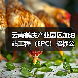 云南鹤庆产业园区加油站工程（EPC）招标公告（图4）