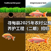寻甸县2025年农村公路养护工程(二期)招标公告(图4) 寻甸县2025年农村公路养护工程(二期)招标公告(图4)
