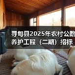 寻甸县2025年农村公路养护工程(二期)招标公告(图2) 寻甸县2025年农村公路养护工程(二期)招标公告(图2)