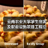云南农业大学学生宿舍及配套设施项目工程总承包（EPC）招标公告（图3）