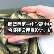 西畴县第一中学高中综合楼建设项目设计、施工总承包（EPC）招标公告（图2）
