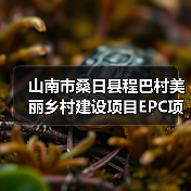 山南市桑日县程巴村美丽乡村建设项目EPC项目招标公告（图2）