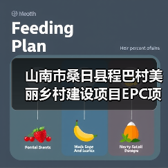 山南市桑日县程巴村美丽乡村建设项目EPC项目招标公告（图4）