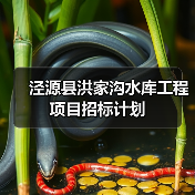 泾源县洪家沟水库工程项目招标计划（图2）