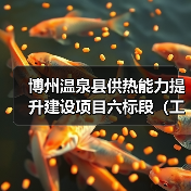 博州温泉县供热能力提升建设项目六标段(工程总承包)(图1) 博州温泉县供热能力提升建设项目六标段(工程总承包)(图1)