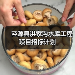 泾源县洪家沟水库工程项目招标计划（图4）