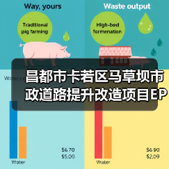 昌都市卡若区马草坝市政道路提升改造项目EPC总承包项目重新二次招标公告(图3) 昌都市卡若区马草坝市政道路提升改造项目EPC总承包项目重新二次招标公告(图3)