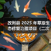 改则县 2025 年草原生态修复治理项目(二次)项目招标公告(图4) 改则县 2025 年草原生态修复治理项目(二次)项目招标公告(图4)