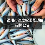 银川市速度轮滑场项目招标公告(图4) 银川市速度轮滑场项目招标公告(图4)