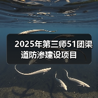 2025年第三师51团渠道防渗建设项目(图2) 2025年第三师51团渠道防渗建设项目(图2)