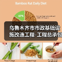 乌鲁木齐市市政基础设施改造工程-工程总承包预审公告(图1) 乌鲁木齐市市政基础设施改造工程-工程总承包预审公告(图1)