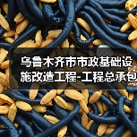 乌鲁木齐市市政基础设施改造工程-工程总承包预审公告(图2) 乌鲁木齐市市政基础设施改造工程-工程总承包预审公告(图2)